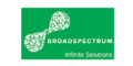 0011 Broadspectrum colour logo