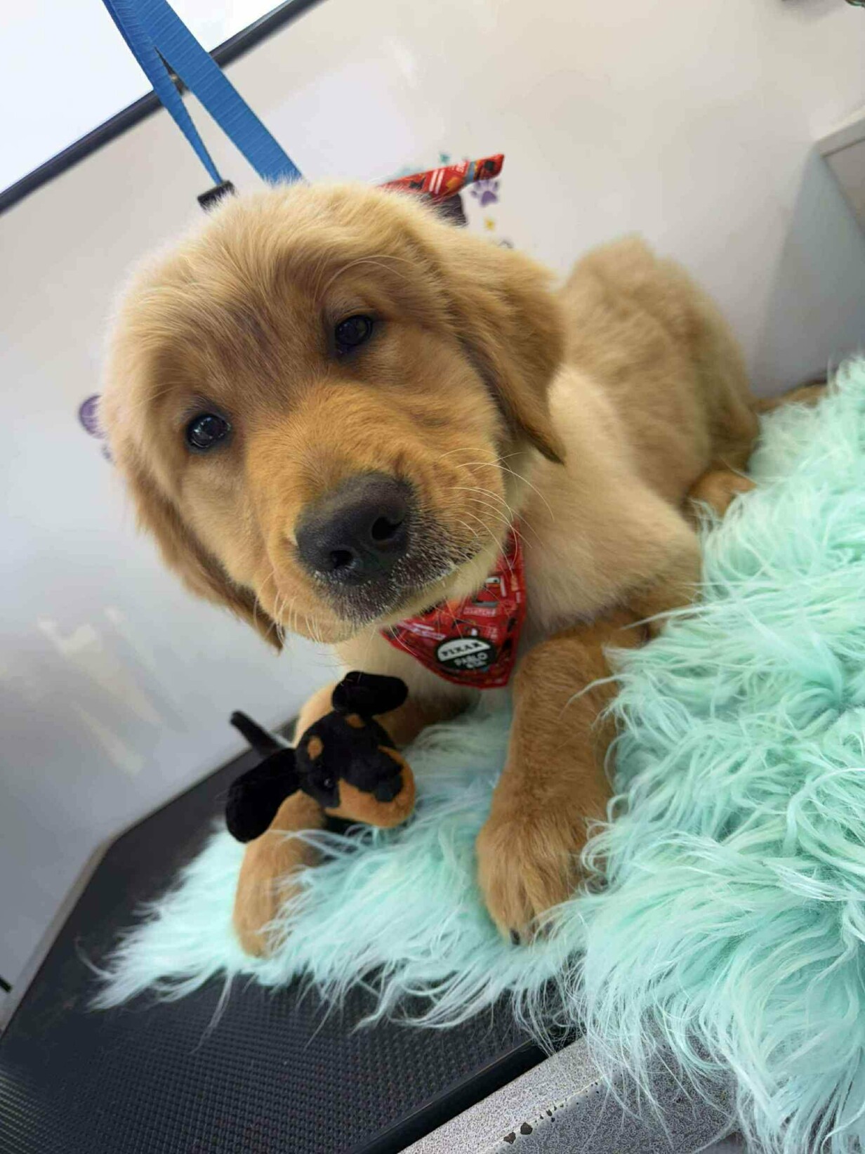 615629a2 ab00 4b49 83af daf8eac627ef